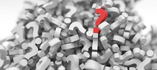 preguntas divorcio en florida